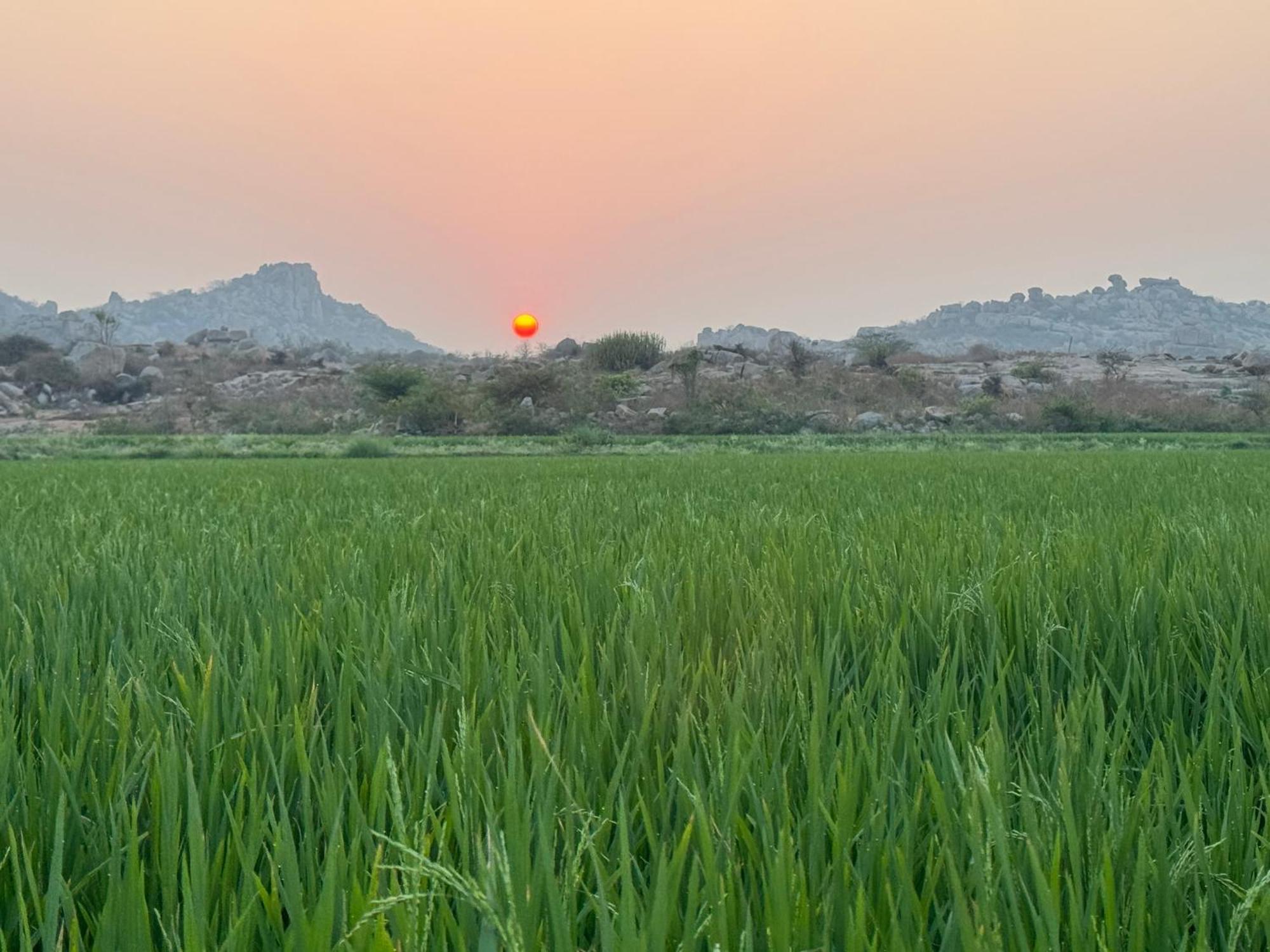 Hill Stone View Hampi Hotel Exterior photo